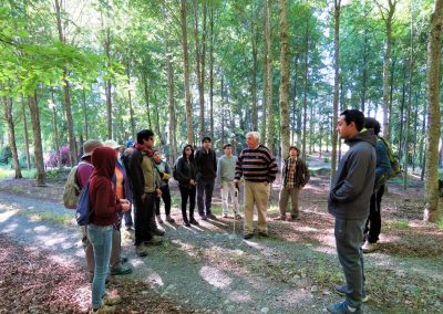 Ing Forestal 11