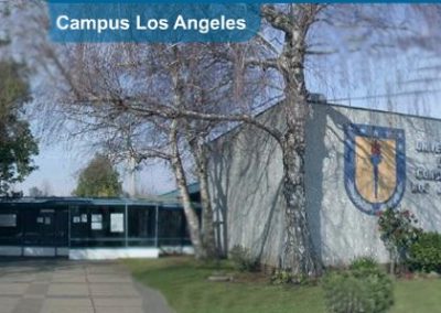 Sede Los Ángeles. Universidad de Concepción.