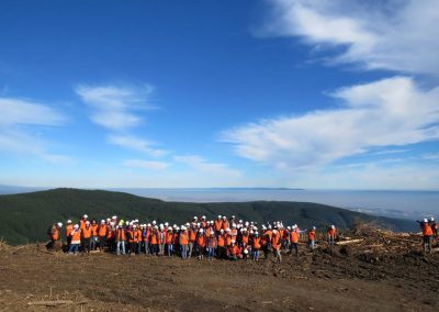ing forestal 6