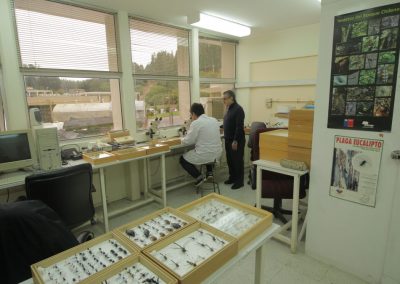 Galeria_infraestructura_9