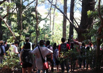 Ing-Forestal-2