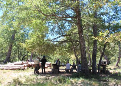 Ing-Forestal-9-1