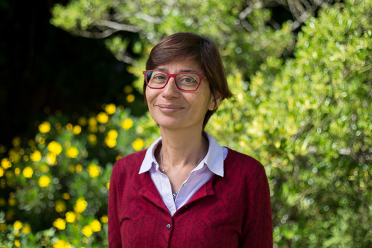 Científica chilena firma una petición para incluir técnicas de edición genética en árboles de bosques certificados
