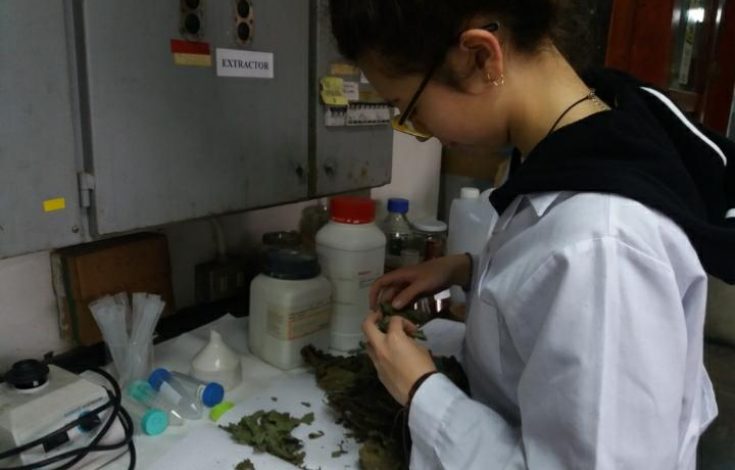 Compromiso y perseverancia, ingredientes fundamentales en la receta de la ciencia