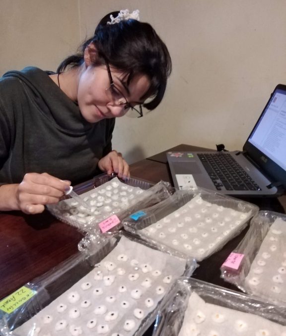 Reinventando la docencia: laboratorios caseros en tiempos de pandemia