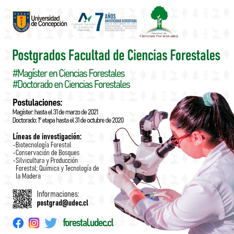 Afiche promo 1