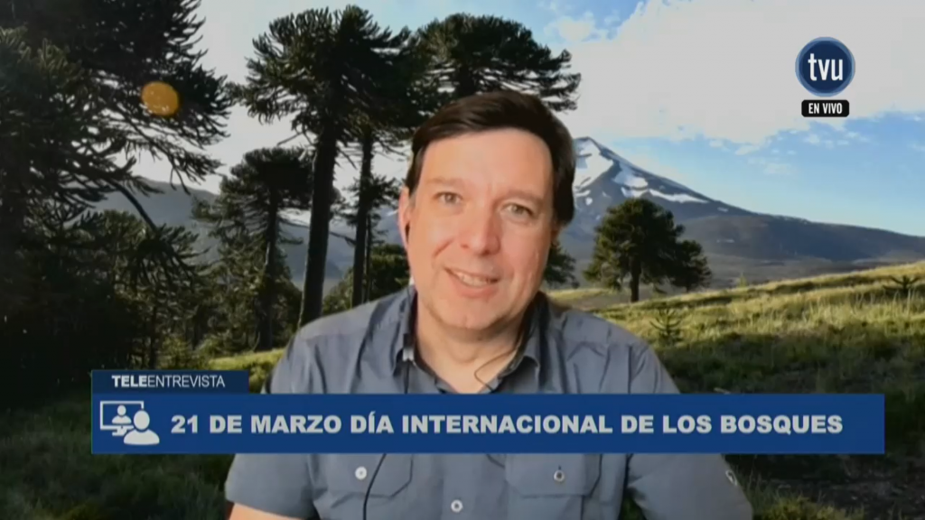 Entrevista de TVU a Dr. Aníbal Pauchard en el Día Internacional de los Bosques