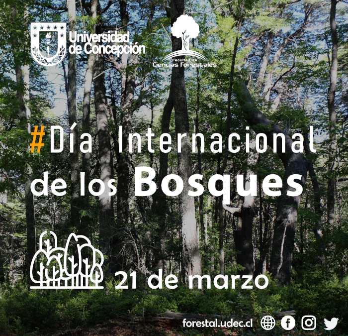 #Día Internacional de los Bosques – 21 de marzo