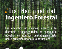 Día del Ingeniero Forestal 03 de mayo — Editorial Decano Dr. Manuel Sánchez Olate