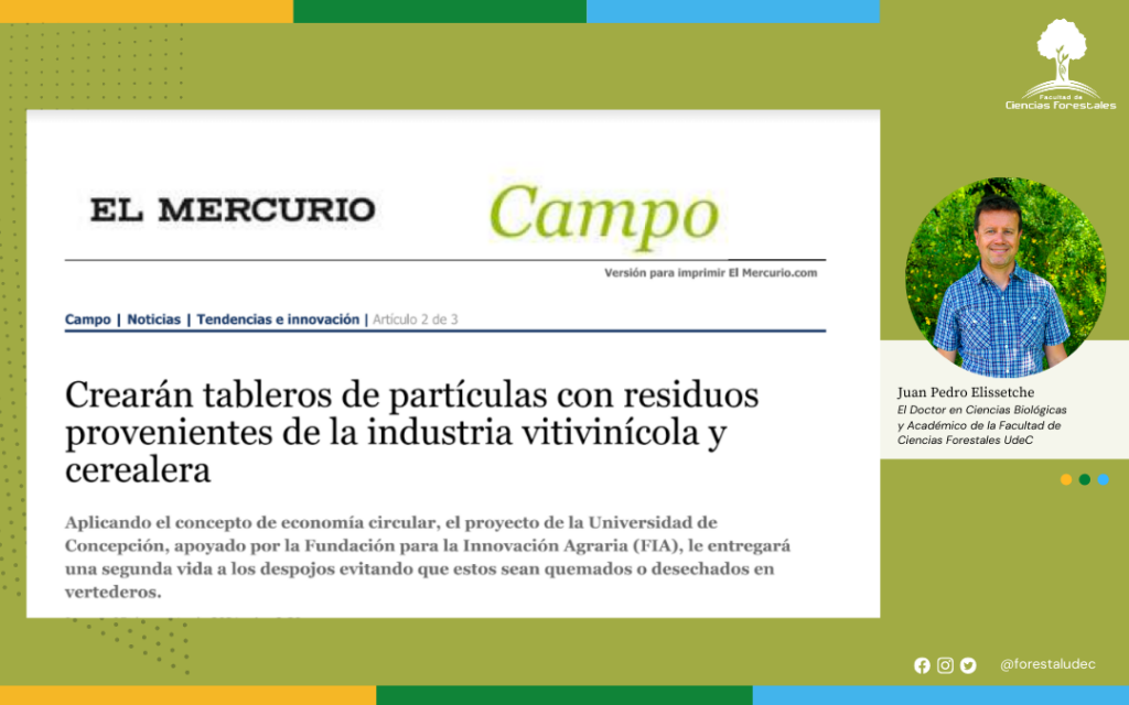 Entrevista: Crearán tableros de partículas con residuos provenientes de la industria vitivinícola y cerealera