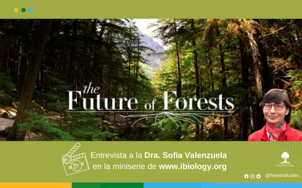 Dra. Sofía Valenzuela participa en miniserie The Future of Forest de iBiology 