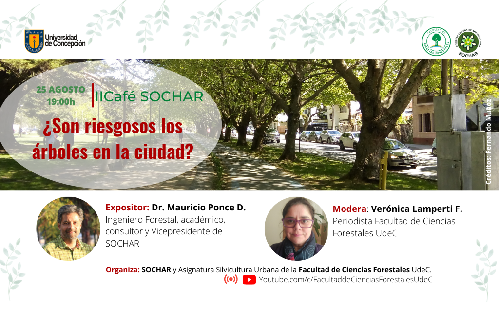 Café Sochar: ¿Son riesgosos los árboles en la ciudad?