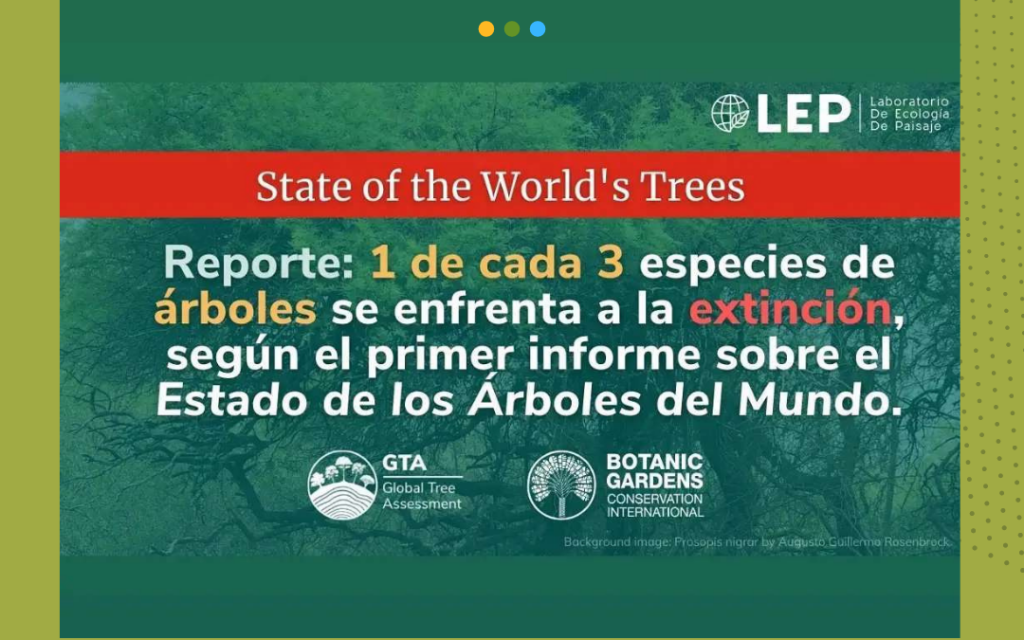 Botanic Gardens Conservation International publica Global Trees Assessment y concluye que el 30% de los árboles están en peligro de extinción