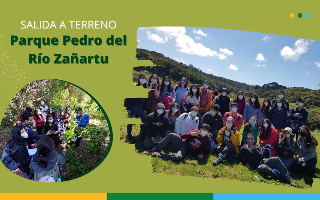 En Ciencias Forestales UdeC se aprende de la naturaleza.