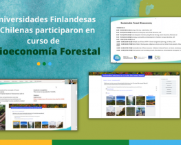 Universidades Finlandesas y Chilenas realizaron un curso de Bioeconomía Forestal: “Sustainable Solutions for Circular Bio-based World”