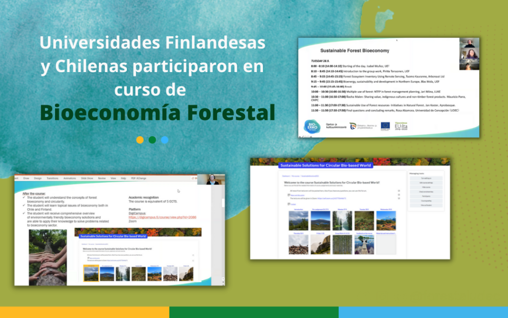 Universidades Finlandesas y Chilenas realizaron un curso de Bioeconomía Forestal: “Sustainable Solutions for Circular Bio-based World”