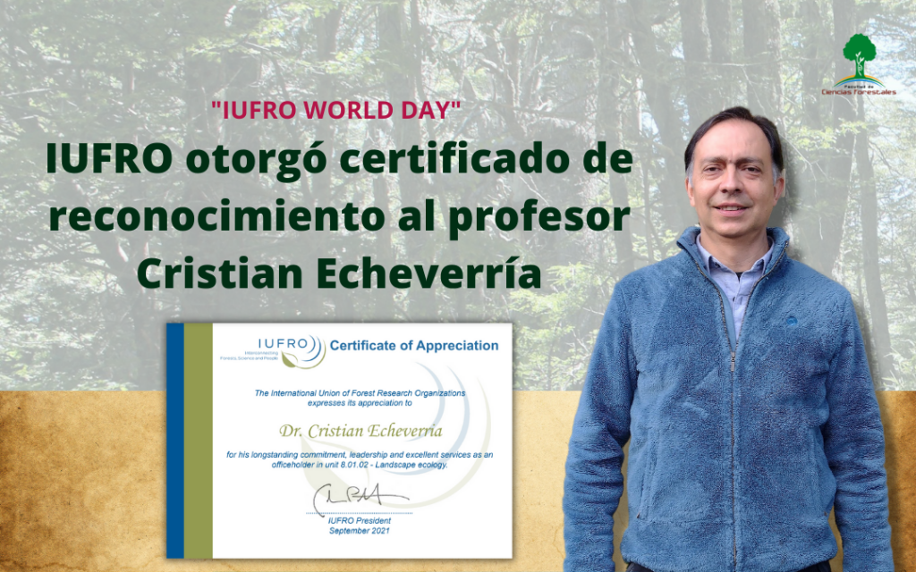 Profesor Cristian Echeverría recibe diploma de reconocimiento en el IUFRO World Day 