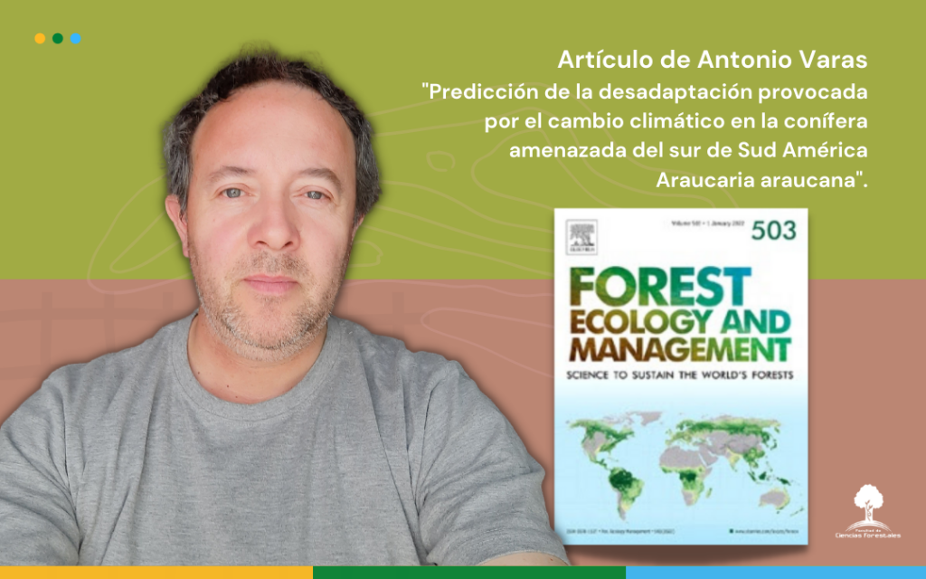 Te invitamos a leer el artículo de Antonio Varas en Forest Ecology and Management: