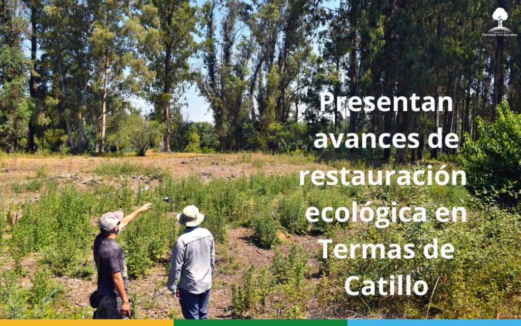 Foresta Nativa: Presentan avances de restauración ecológica en Termas de Catillo