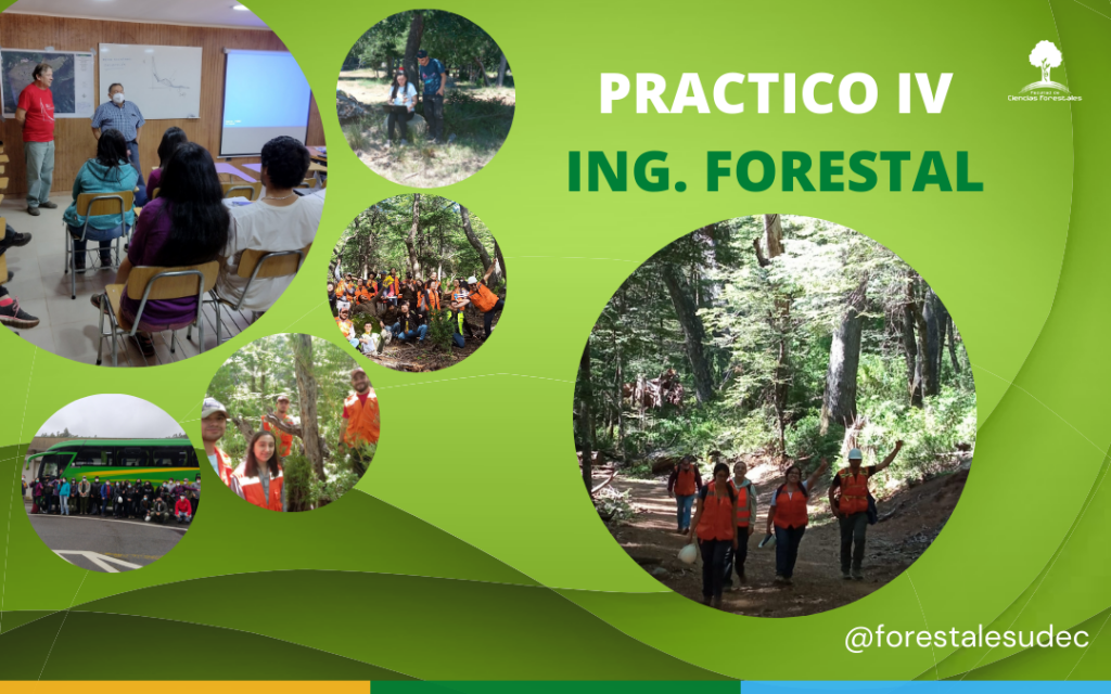 Ingeniería Forestal: Práctico IV – Ranchillo
