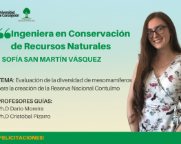 La Srta. Sofía San Martín Vásquez es nuestra nueva Ingeniería en Conservación de Recursos Naturales. 