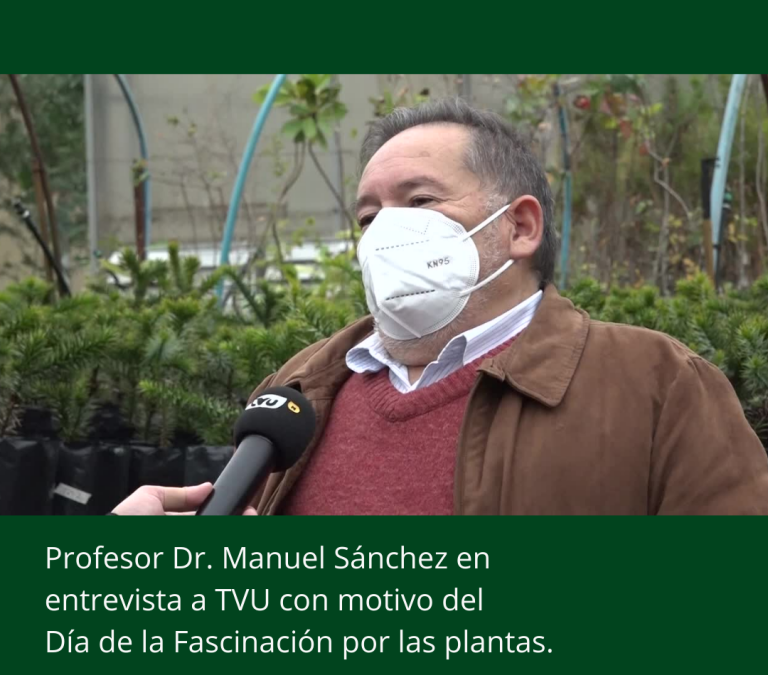 TVU NOTICIAS: Conmemoración del “Día de la fascinación por las plantas”
