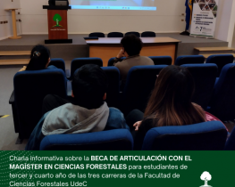 Beca articulación con Magíster de Ciencias Forestales