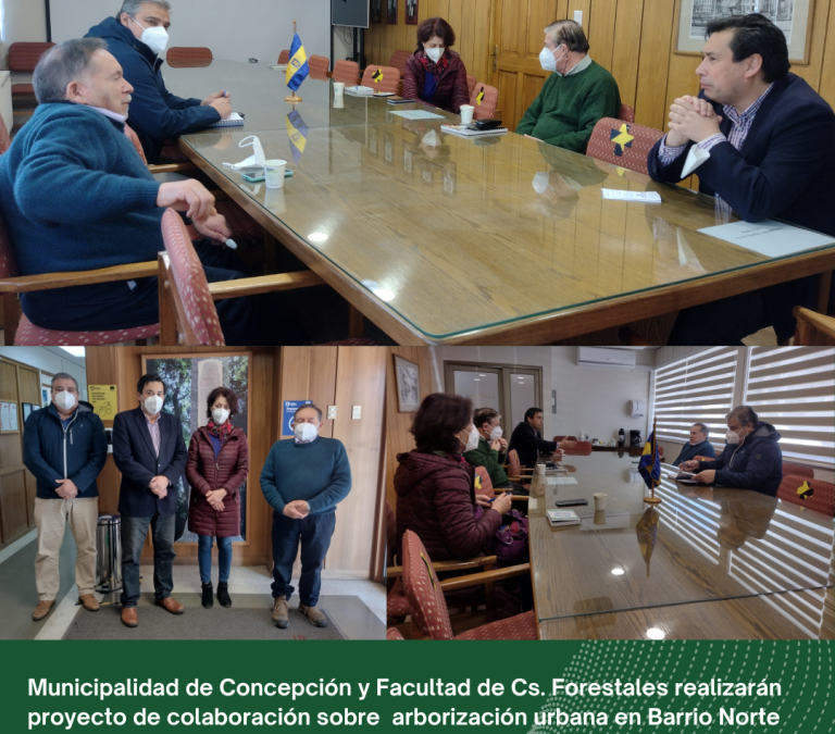 Municipalidad de Concepción y Ciencias Forestales realizarán proyecto piloto de arbolado urbano en Barrio Norte