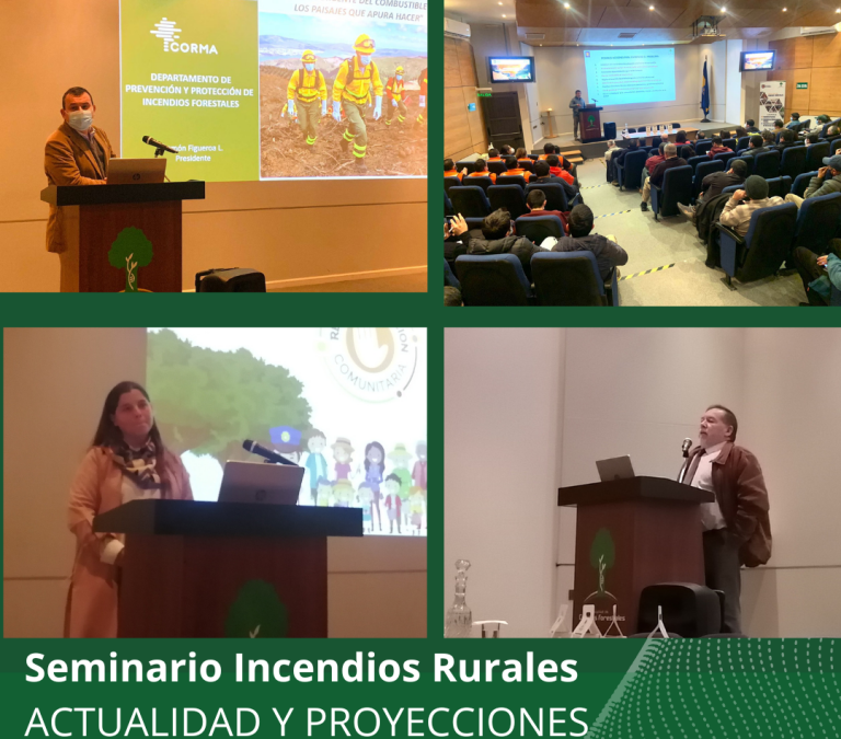 Seminario: “Incendios Rurales, actualidad y proyecciones”