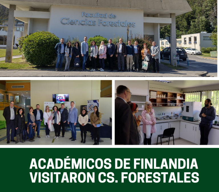 “En el marco del Convenio de formación de capacidades en Bioeconomía, representantes académicos de tres universidades finlandesas visitaron la Facultad de Ciencias Forestales UdeC y sus unidades asociadas.