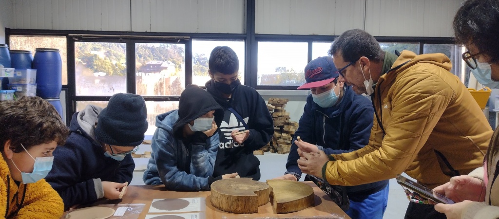 Proyecto Paleta Biomaterial de Coliumo