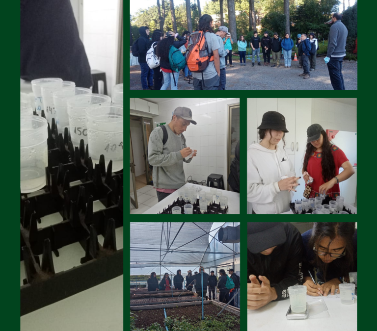Estudiantes de Ingeniería Forestal visitan INFOR Sede Bio Bío