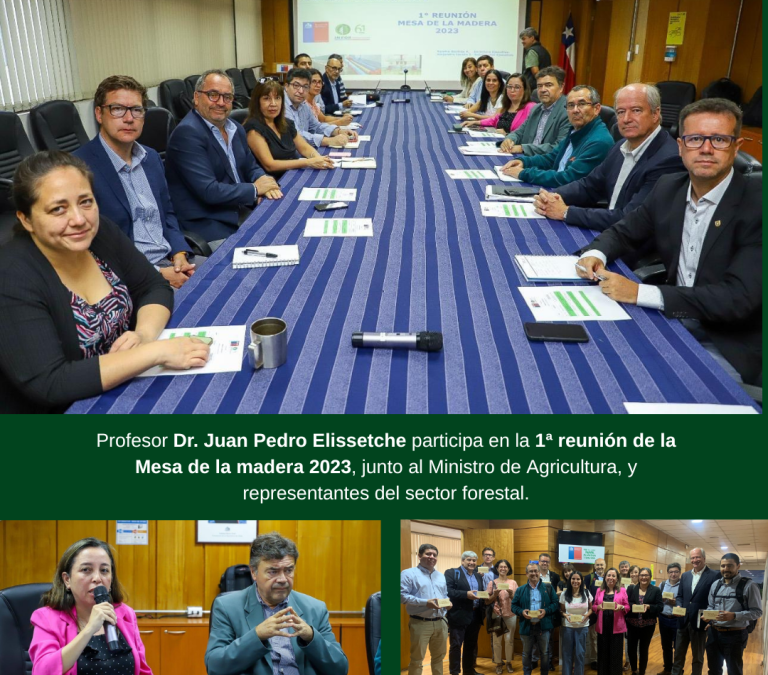UdeC participa en la Reactivación de la “Mesa de la Madera”