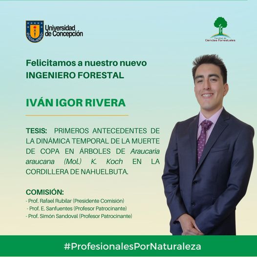 Iván Igor Rivera es nuestro nuevo Ingeniero Forestal