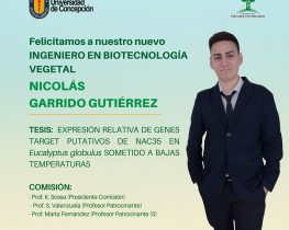 Nicolás Garrido Gutiérrez es nuestro nuevo Ingeniero en Biotecnología Vegetal