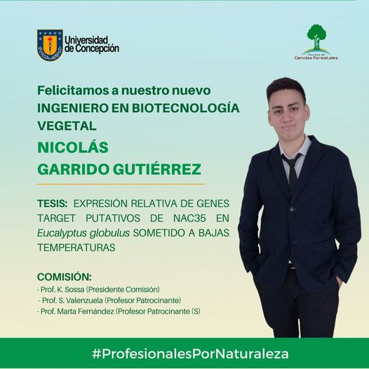 Nicolás Garrido Gutiérrez es nuestro nuevo Ingeniero en Biotecnología Vegetal