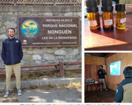 Charla del Ing. en Biotecnología Vegetal UdeC, Nicolás Rivas M. en el Parque Nonguén sobre los beneficios de los baños de bosque