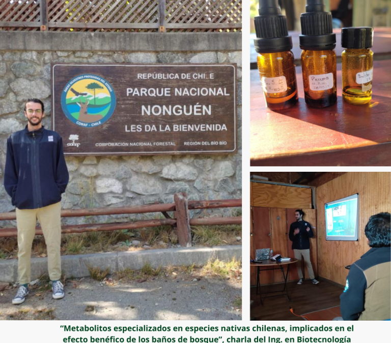 Charla del Ing. en Biotecnología Vegetal UdeC, Nicolás Rivas M. en el Parque Nonguén sobre los beneficios de los baños de bosque
