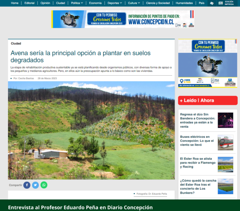 Entrevista en Diario Concepción sobre recuperación de suelos, post incendios en la Región