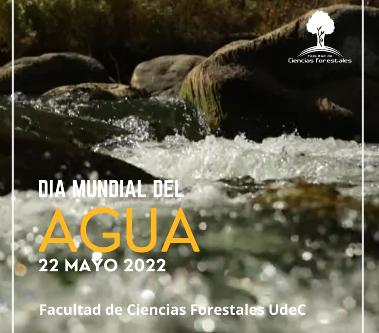 Día Mundial del Agua