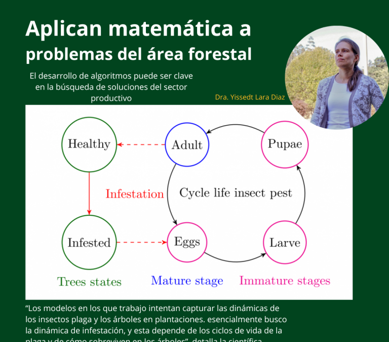 Aplican matemática a  problemas del área forestal