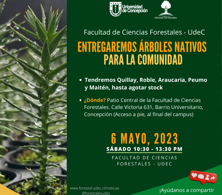 6 de mayo: entregaremos plantas de árboles nativos a la comunidad