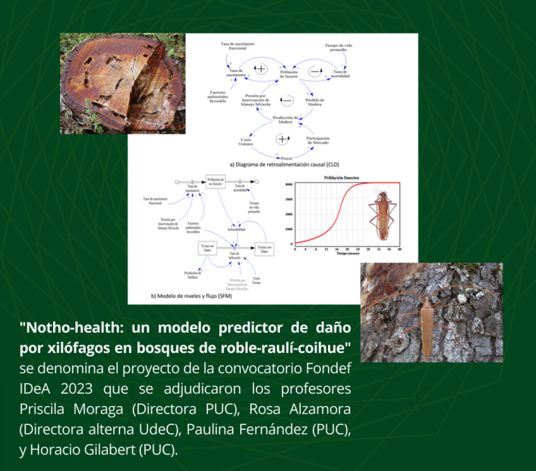 Fondef IDeA : “Notho-health: un modelo predictor de daño por xilófagos en bosques de roble-raulí-coihue”