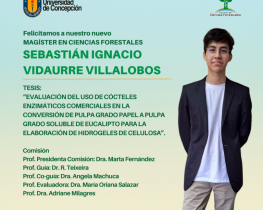Sebastián Ignacio Vidaurre Villalobos es nuestro nuevo Magíster en Ciencias Forestales