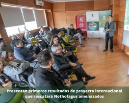 Presentan primeros resultados de proyecto internacional que rescatará Nothofagus amenazados